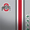 Ohio State University Buckeyes Playstation 3 & PS3 Skin